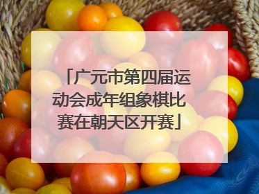 广元市第四届运动会成年组象棋比赛在朝天区开赛